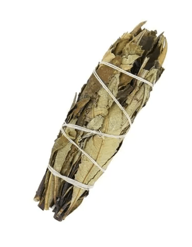 Yerba Santa Sage Smudge Stick, 10 cm
